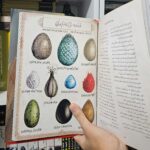 کتاب مصور هری پاتر و سنگ جادو به فارسی تخم اژدها