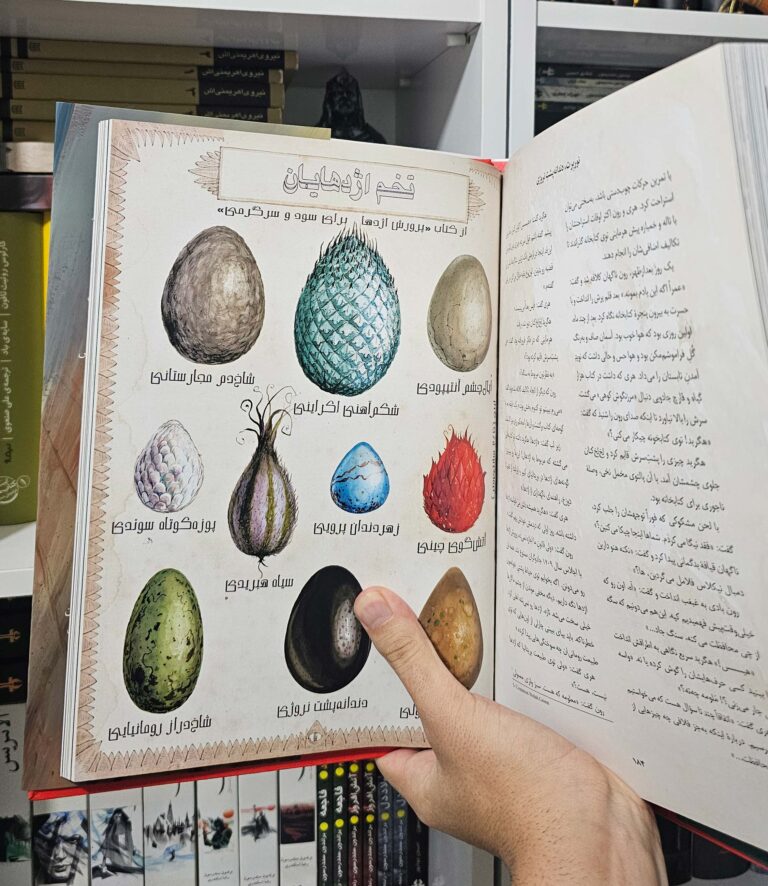 کتاب مصور هری پاتر و سنگ جادو